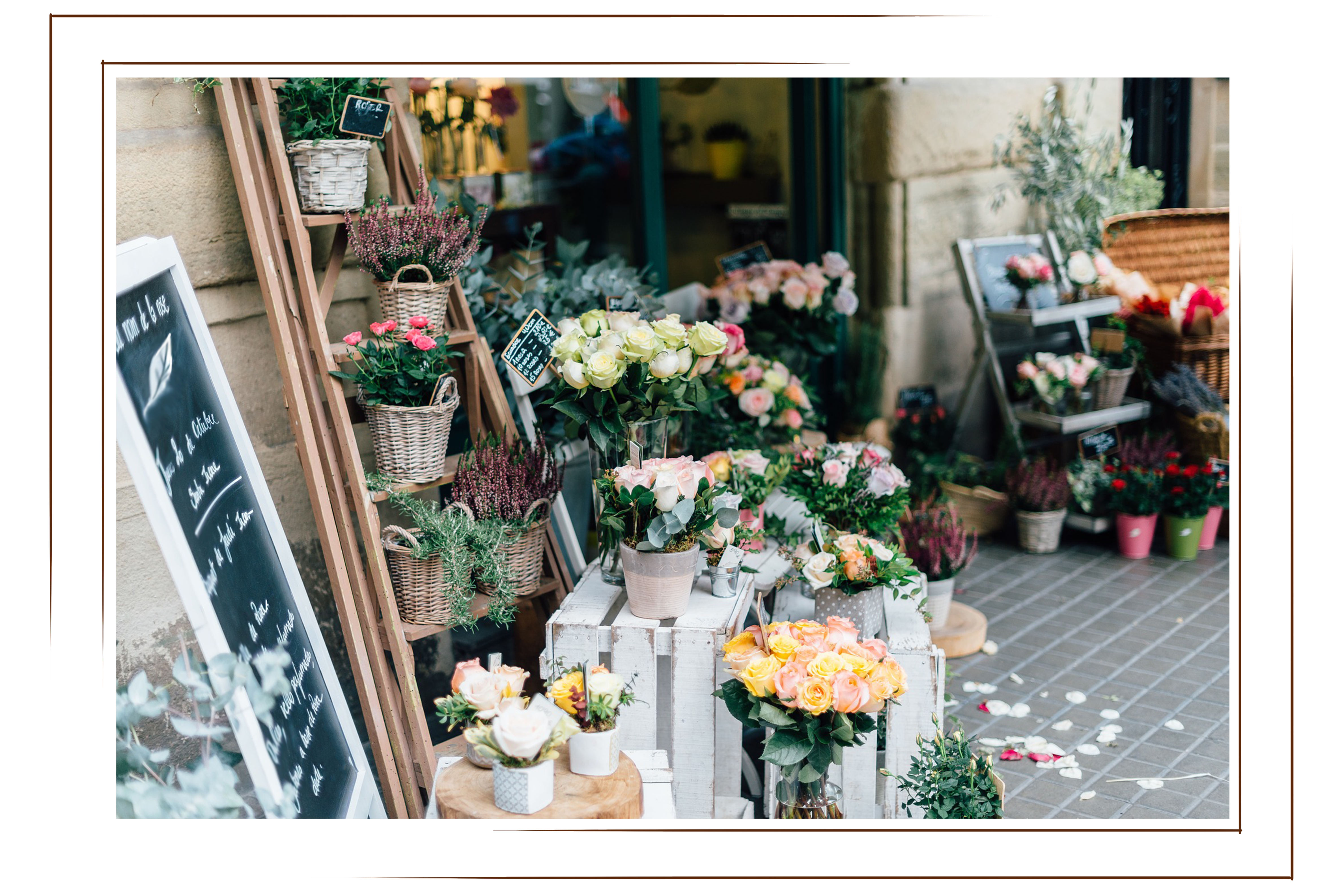 Mulberry Street Floristry store front with baskets of roses in yellow, coral, pink, orange color